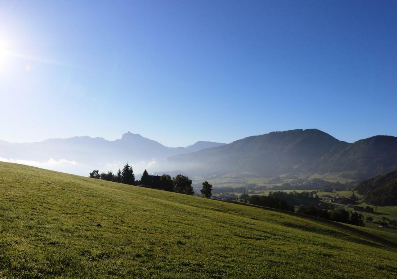 Traunsee-Traum Grasberg Esterno foto